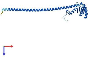 ATP6V1E2 Protein (AA 1-226) (His tag)
