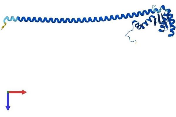 ATP6V1E2 Protein (AA 1-226) (His tag)