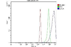 Flow Cytometry analysis of K562 cells using anti-EIF5A antibody (ABIN7602568). (EIF5A 抗体  (AA 86-154))
