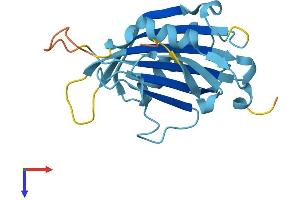 RANGRF Protein (AA 1-185) (His tag)