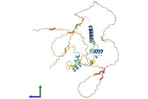 AlphaFold protein structure predicition of Mouse Recombinant S100pbp Protein, UniprotID Q9D5K4 (S100PBP Protein (AA 1-396) (His tag))