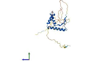 Protein Structure (PS) image for SRY (Sex Determining Region Y)-Box 15 (SOX15) (AA 1-231) protein (His tag) (ABIN7563259)