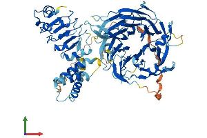AlphaFold protein structure predicition of Mouse Recombinant LRWD1 Protein, UniprotID Q8BUI3