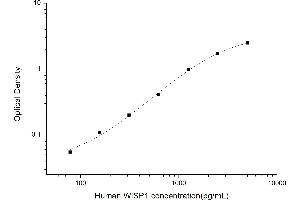 Typical standard curve (WISP1 ELISA 试剂盒)