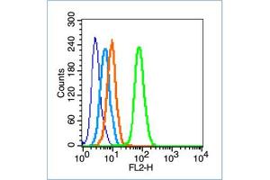 HepG2 cells were fixed with 70% ice-cold methanol overnight at 4℃, permeabilized with 90% ice-cold methanol for 20 min at -20℃, and incubated in 5% BSA blocking buffer for 30 min at room temperature. (FAK 抗体  (pTyr407))