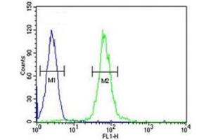 Flow Cytometry (FACS) image for anti-ATP-Binding Cassette, Sub-Family D (Ald), Member 1 (ABCD1) (AA 257-285) antibody (ABIN5647318)