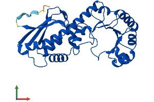 Protein Structure (PS) image for Quinolinate Phosphoribosyltransferase (QPRT) (AA 1-299) protein (His tag) (ABIN7560077)