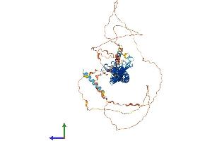 Protein Structure (PS) image for Junctophilin 2 (JPH2) (AA 1-696) protein (His tag) (ABIN7565072)