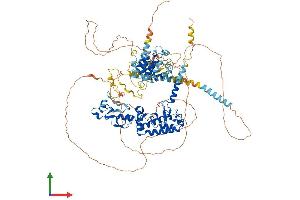 Protein Structure (PS) image for KIAA0226 (KIAA0226) (AA 1-956) protein (His tag) (ABIN7564254)