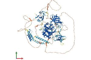 AlphaFold protein structure predicition of Human Recombinant INPP5D Protein, UniprotID Q92835 (INPP5D Protein (AA 1-1189) (His tag))