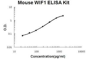 Mouse WIF1 PicoKine ELISA Kit standard curve (WIF1 ELISA 试剂盒)