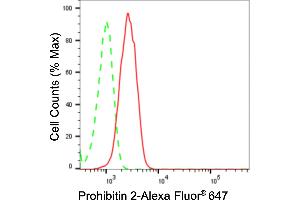 Flow cytometric analysis of Prohibitin 2 expression in C2C12 cells using Prohibitin 2 antibody (ABIN7799912), 1:2,000). (Recombinant Prohibitin 2 抗体)