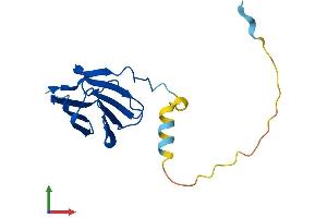 Protein Structure (PS) image for Prostaglandin E Synthase 3 (Cytosolic) (PTGES3) (AA 1-160) protein (His tag) (ABIN7556201)