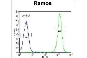 ETFA Antibody (C-term) (ABIN655079 and ABIN2844711) flow cytometric analysis of Ramos cells (right histogram) compared to a negative control cell (left histogram). (ETFA 抗体  (C-Term))