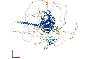 AlphaFold protein structure predicition of Human Recombinant MTMR3 Protein, UniprotID Q13615