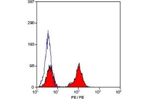 Staining of human peripheral blood lymphocytes with RAT ANTI HUMAN CD28:RPE (ABIN118584). (CD28 抗体  (PE))