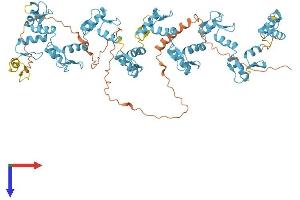 AlphaFold protein structure predicition of Human Recombinant ZNF600 Protein, UniprotID Q6ZNG1