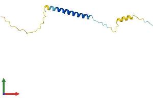 Protein Structure (PS) image for Small Cell Adhesion Glycoprotein (SMAGP) (AA 1-97) protein (His tag) (ABIN7546209)