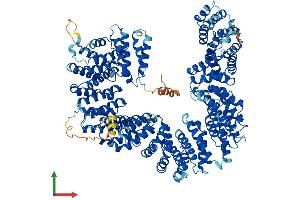 Protein Structure (PS) image for Tubulin Folding Cofactor D (TBCD) (AA 1-1192) protein (His tag) (ABIN7555712)