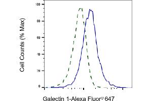 Validation of Galectin 1 knockdown using flow cytometry. (Recombinant LGALS1/Galectin 1 抗体)