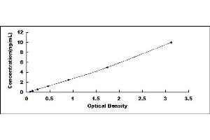 Typical standard curve (FAM3D ELISA 试剂盒)