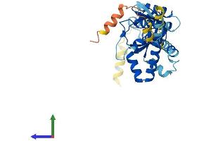Protein Structure (PS) image for Popeye Domain Containing 3 (POPDC3) (AA 1-291) protein (His tag) (ABIN7561459)