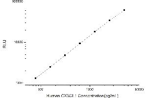 Typical standard curve (CX3CL1 CLIA Kit)