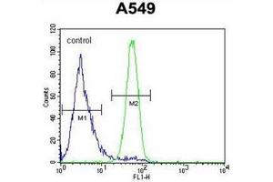 Flow Cytometry (FACS) image for anti-Follistatin-Like 1 (FSTL1) (AA 285-318), (C-Term) antibody (ABIN952355)