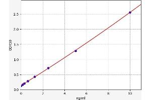 CDK2 ELISA 试剂盒