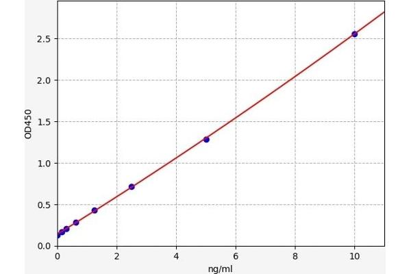 CDK2 ELISA 试剂盒