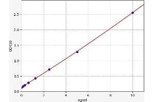 Typical standard curve (CDK2 ELISA 试剂盒)