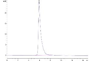 Size-exclusion chromatography-High Pressure Liquid Chromatography (SEC-HPLC) image for Myelin Associated Glycoprotein (MAG) (AA 20-516) protein (Fc Tag) (ABIN7275597)