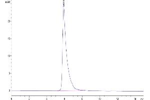 The purity of Human Siglec-4a is greater than 95 % as determined by SEC-HPLC. (MAG Protein (AA 20-516) (Fc Tag))