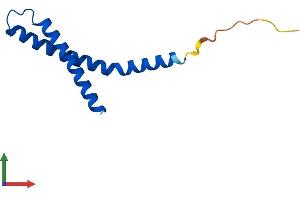 Protein Structure (PS) image for Fracture Callus 1 Homolog (FXC1) (AA 1-100) protein (His tag) (ABIN7556310)