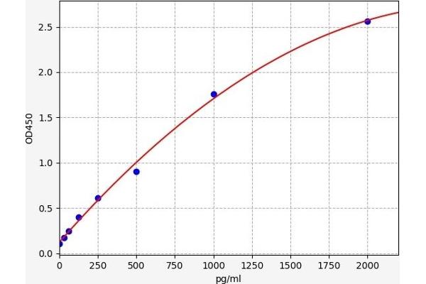 IFI6 ELISA 试剂盒