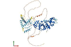 Protein Structure (PS) image for MYST Histone Acetyltransferase 2 (MYST2) (AA 1-611) protein (His tag) (ABIN7548702)