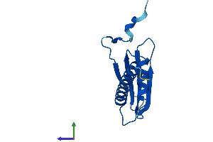 Protein Structure (PS) image for Polymerase (RNA) II (DNA Directed) Polypeptide J, 13.3kDa (POLR2J) (AA 1-117) protein (His tag) (ABIN7551522)