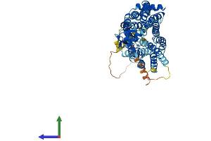 AlphaFold protein structure predicition of Human Recombinant SLC22A14 Protein, UniprotID Q9Y267