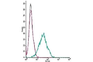 Cell surface detection of CNTF receptor α by indirect flow cytometry in live intact mouse BV-2 microglia cells:(black line) Cells. (CNTF Receptor alpha 抗体  (Extracellular))