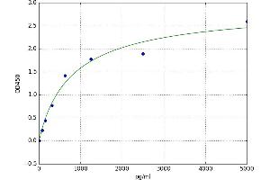 Carbonic Anhydrase I (CA1) ELISA Kit