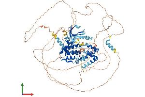AlphaFold protein structure predicition of Human Recombinant NEK4 Protein, UniprotID P51957 (NEK4 Protein (AA 1-841) (His tag))