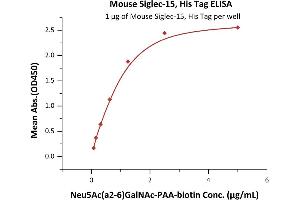 Immobilized Mouse Siglec-15, His Tag (ABIN6731346,ABIN6809872) at 10 μg/mL (100 μL/well) can bind Neu5Ac(a2-6)GalNAc-n with a linear range of 0. (SIGLEC15 Protein (AA 24-262) (His tag))
