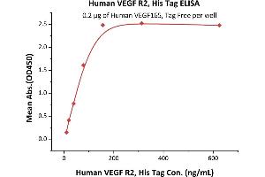 Immobilized Human VEGF165, Tag Free (ABIN2181903,ABIN2693608,ABIN3071747) at 2 μg/mL (100 μL/well) can bind Human VEGF R2, His Tag (ABIN2181917,ABIN6253722) with a linear range of 10-156 ng/mL (QC tested).