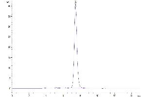 Size-exclusion chromatography-High Pressure Liquid Chromatography (SEC-HPLC) image for Programmed Cell Death 1 (PDCD1) (AA 25-167) protein (Fc Tag) (ABIN7275423)