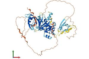 Protein Structure (PS) image for PDZ Domain Containing 3 (PDZD3) (AA 1-571) protein (His tag) (ABIN7549702)