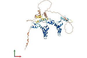 AlphaFold protein structure predicition of Human Recombinant ZIK1 Protein, UniprotID Q3SY52