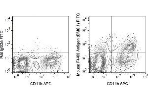 C57Bl/6 bone marrow cells were stained with APC Anti-Mouse CD11b (ABIN6961412) and 0. (F4/80 抗体  (FITC))