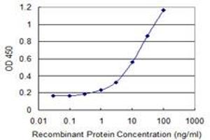 Detection limit for recombinant GST tagged HDAC8 is 0. (HDAC8 抗体  (AA 1-100))
