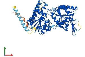 AlphaFold protein structure predicition of Mouse Recombinant Alg1 Protein, UniprotID Q921Q3