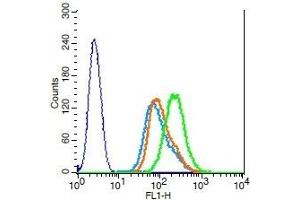 Flow Cytometry (FACS) image for anti-Tumor Necrosis Factor (Ligand) Superfamily, Member 11 (TNFSF11) (AA 210-317) antibody (ABIN672696)